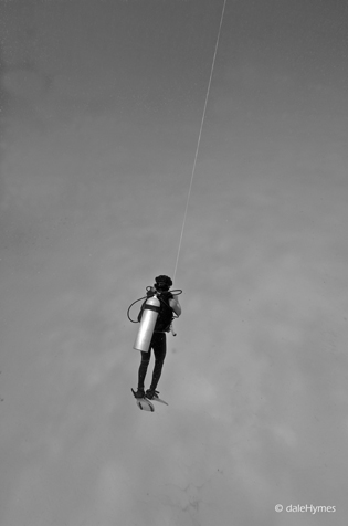 kiteFlying